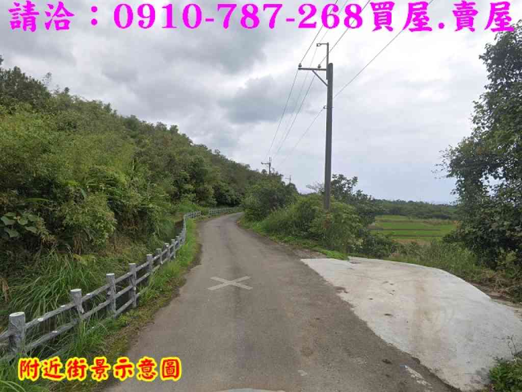 台東長濱1.3分低總價農地視意圖