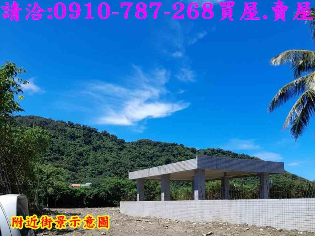 急售！來去台東大武黃金角地視意圖